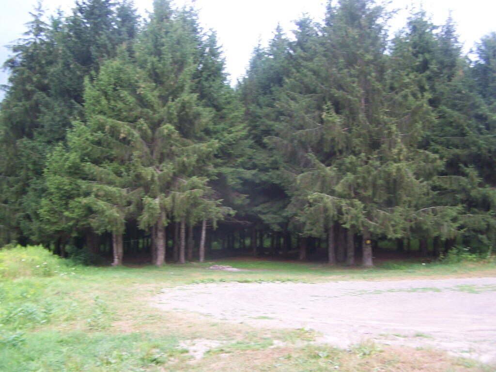 Photo: Campsite 7 Photo: Campsite 7