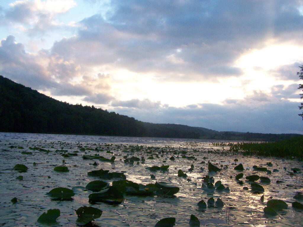 Photo: Evening Photo: Evening