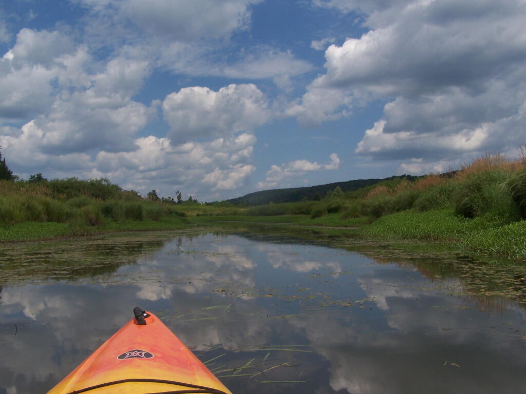 Photo: Wider But Shallow Section of Beaver Creek Photo: Wider But Shallow Section of Beaver Creek