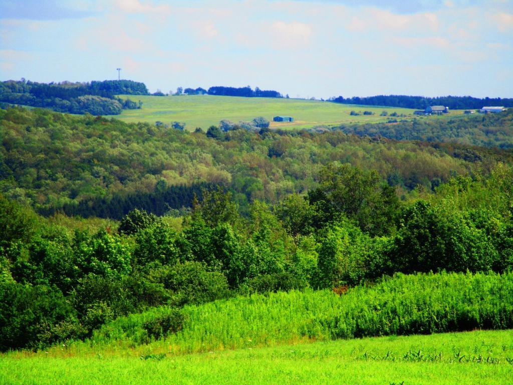 Photo: Sugar Hill Farm Photo: Sugar Hill Farm