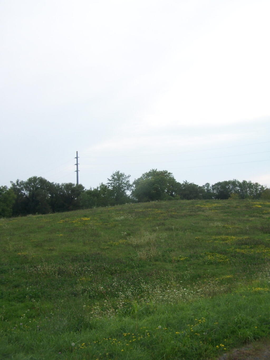Photo: Harbor Lock Rd Dump Photo: Harbor Lock Rd Dump