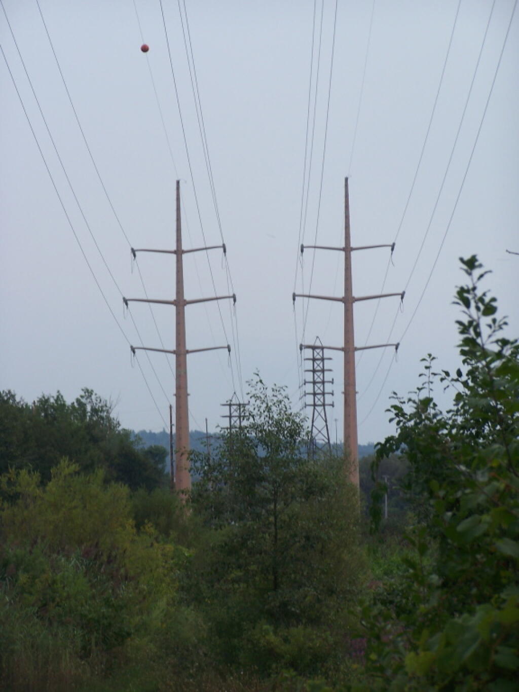 Photo: Interconnect Lines Over Utica Marsh Photo: Interconnect Lines Over Utica Marsh