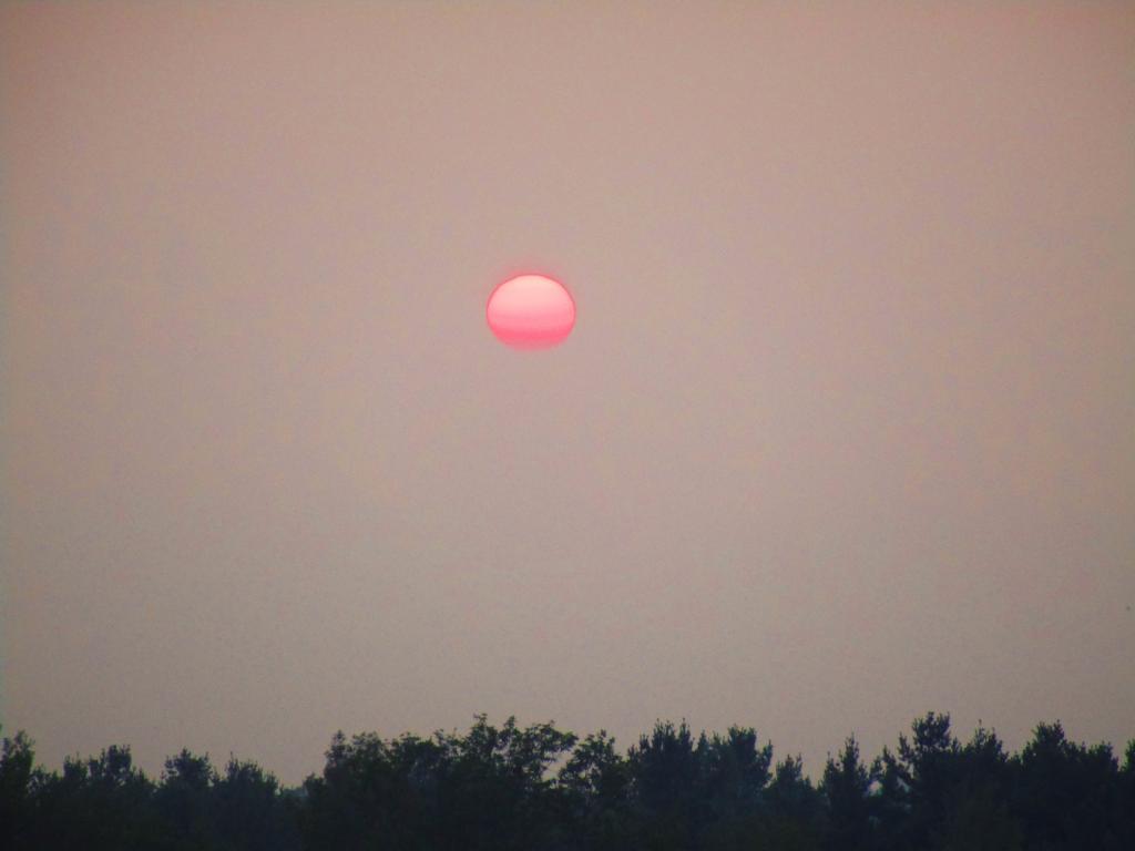 Photo: Many Nights Sunsets Photo: Many Nights Sunsets