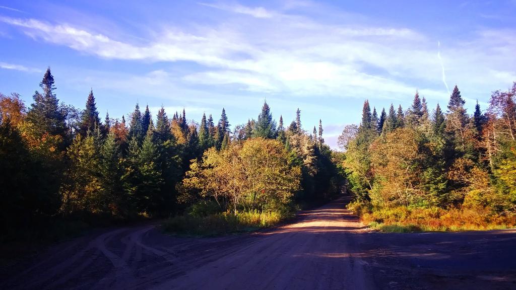 Photo: Morning at Powley Place