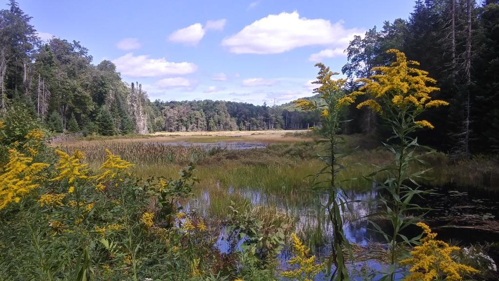 Photo: Beautiful September Day Photo: Beautiful September Day