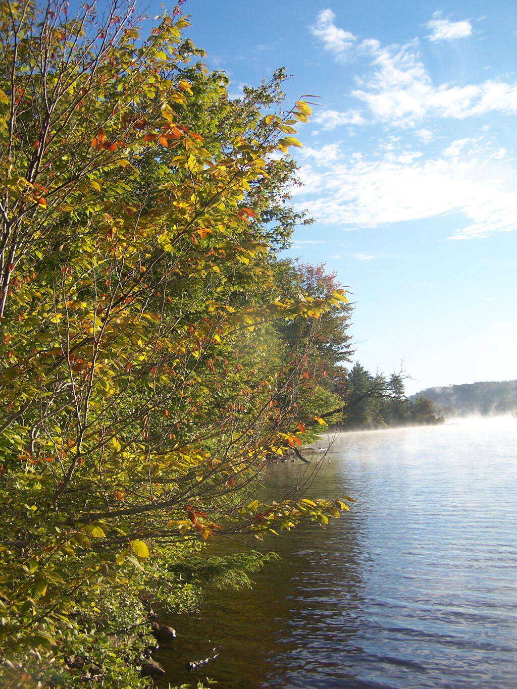 Photo: Edge of North Lake in Morning Photo: Edge of North Lake in Morning
