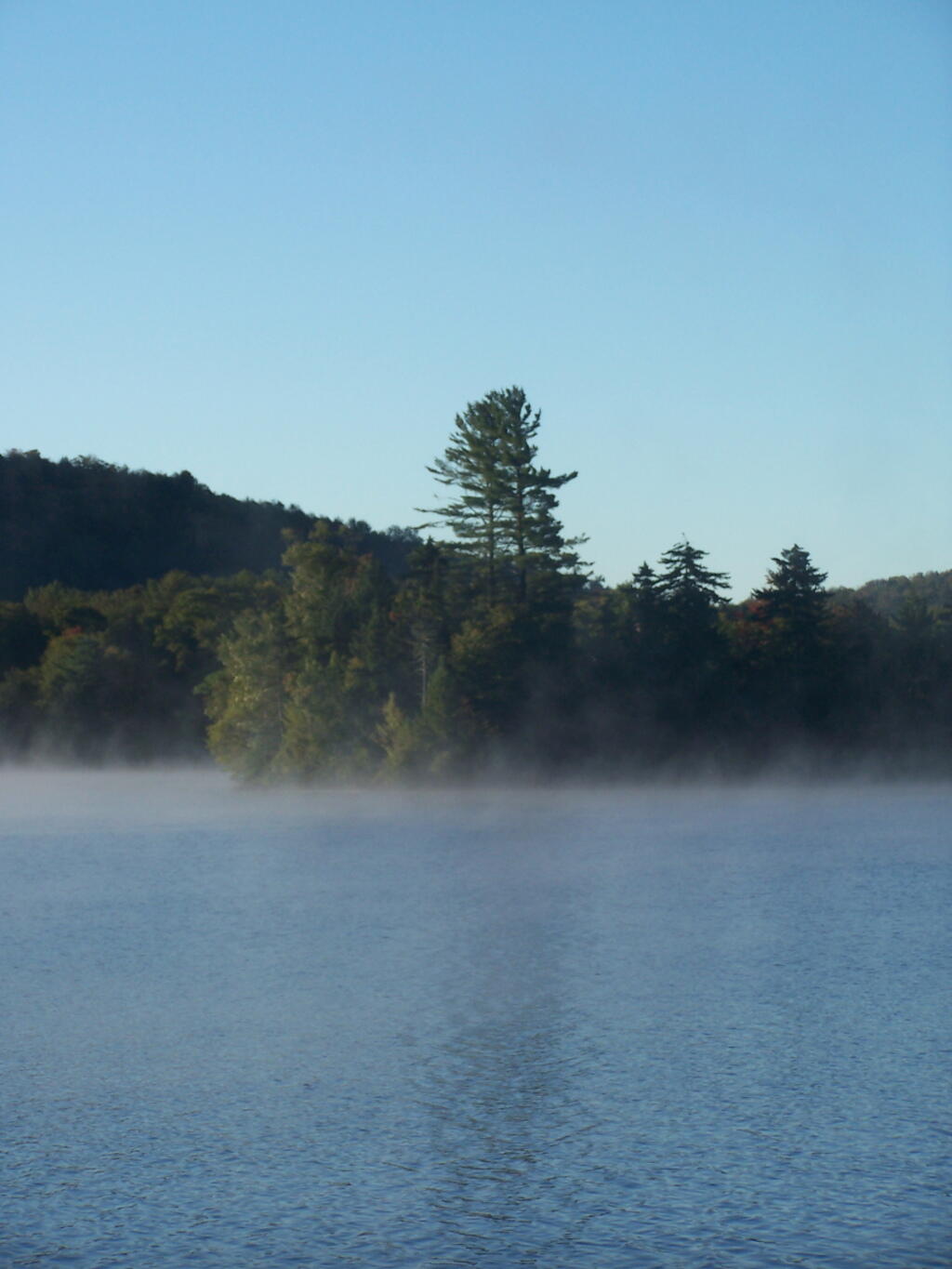 Photo: Rising Fog Photo: Rising Fog