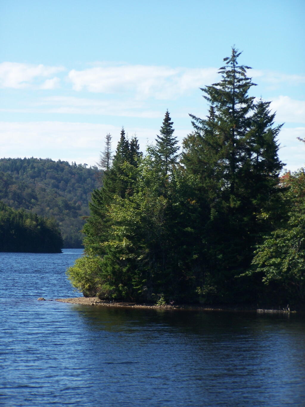 Photo: Trees on Island Photo: Trees on Island