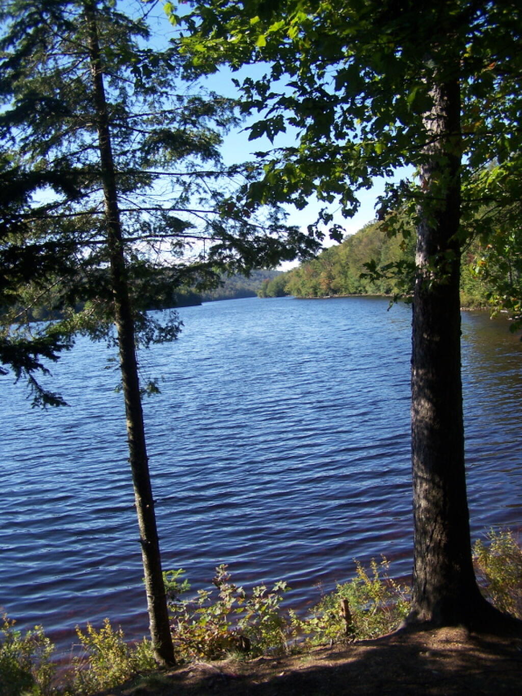Photo: Trees Along North Lake Road Photo: Trees Along North Lake Road