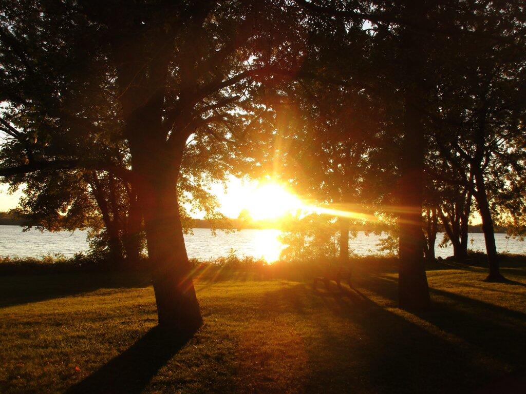 Photo: Autumn Afternoon