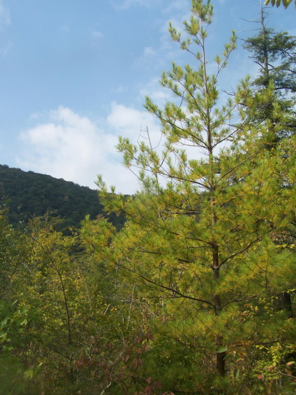 Photo: Untitled