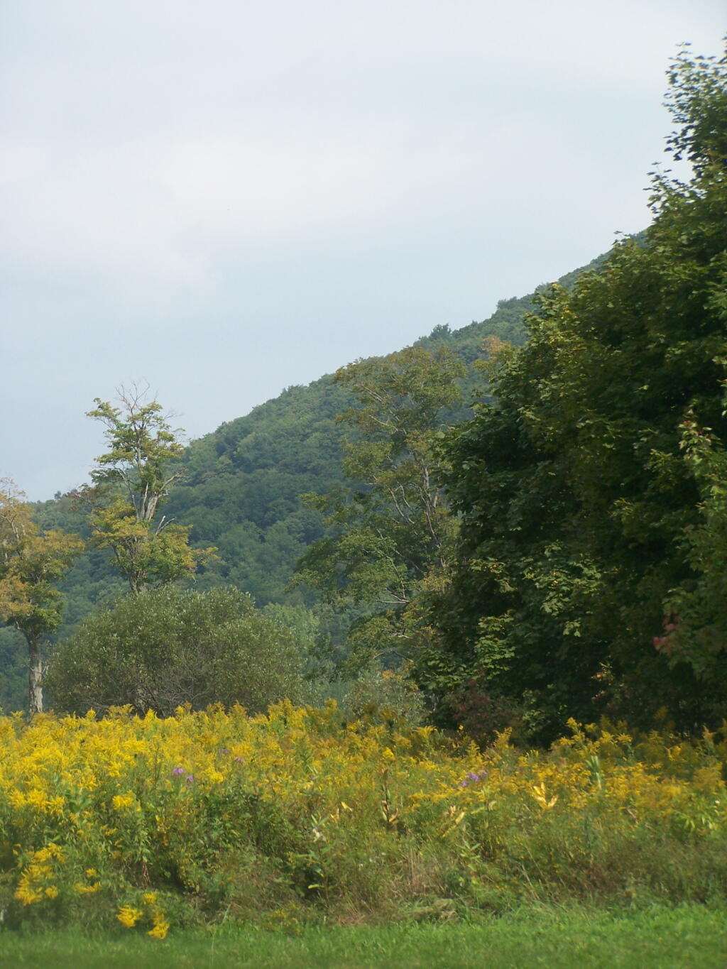 Photo: Jones Hill Photo: Jones Hill