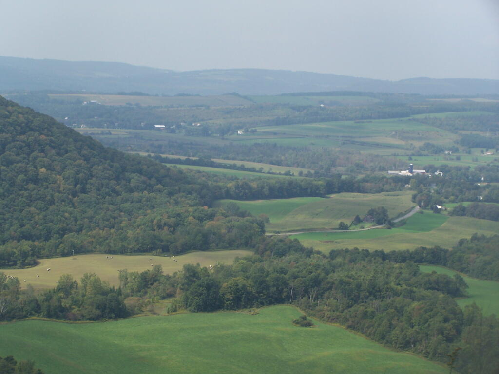 Photo: Fields and Haze