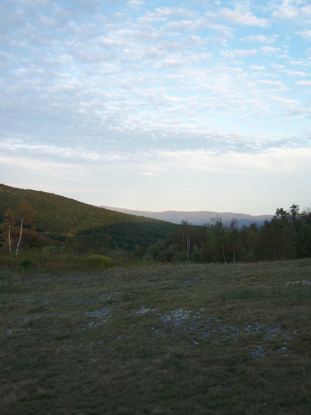 Photo: Field Photo: Field