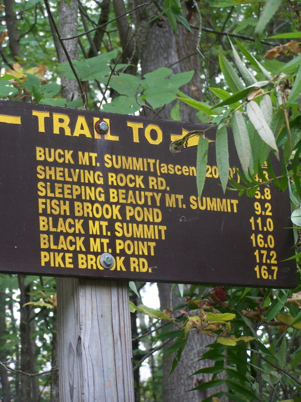 Photo: Distance to Summit