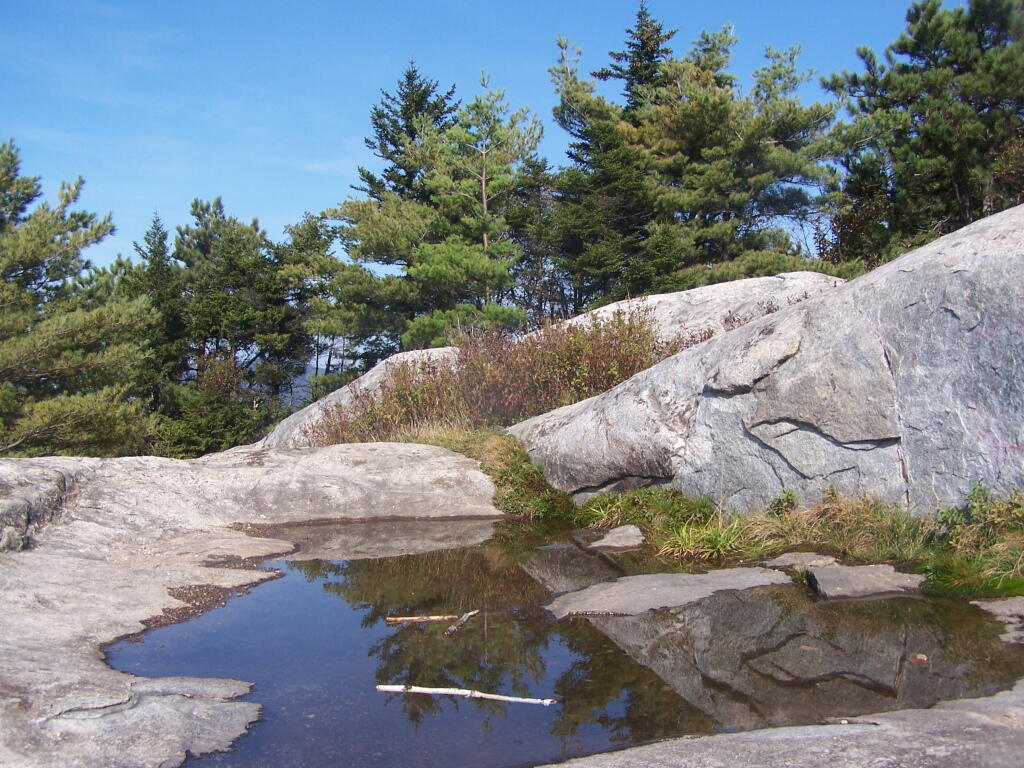 Photo: Puddle on Summit