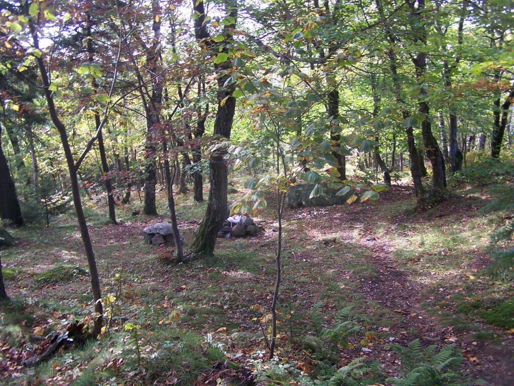 Photo: Informal Campsite on Buck