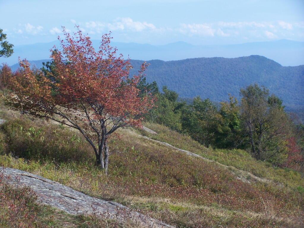 Photo: Escarpment
