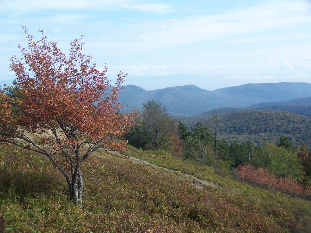 Photo: Putnam Mountain Now that Fog Has Lifted