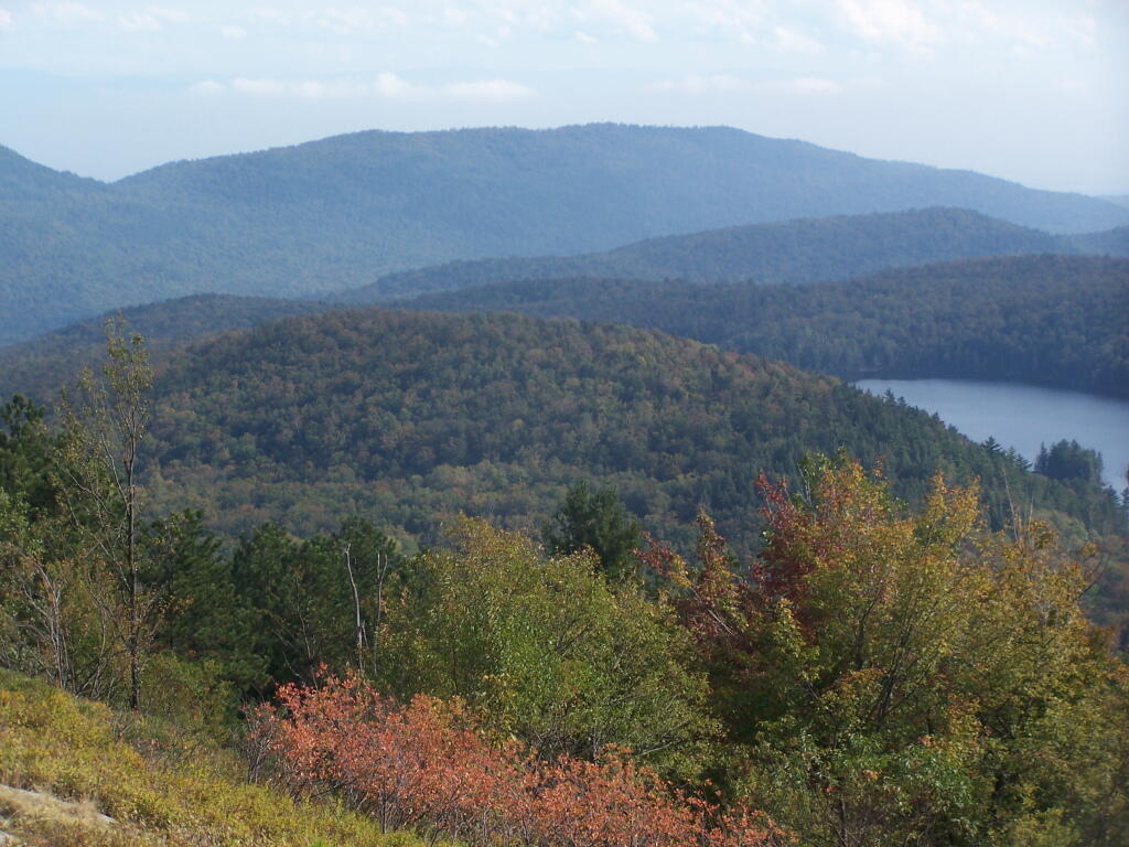 Photo: More Hints of Fall