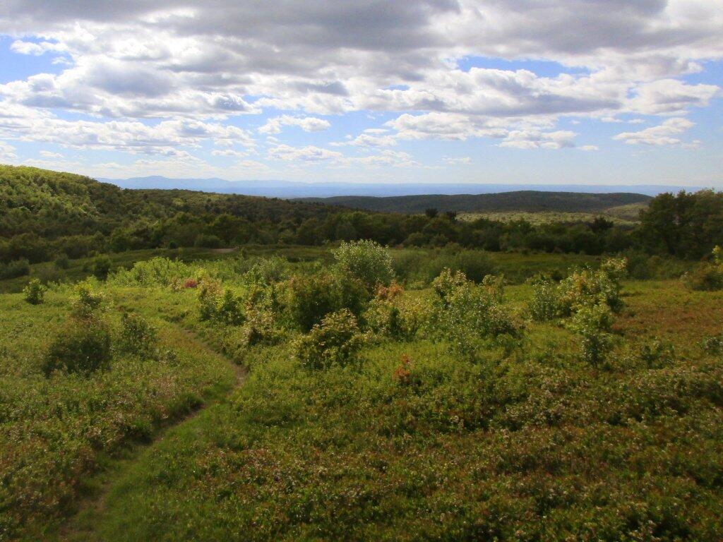 Photo: Catskills In The Distance