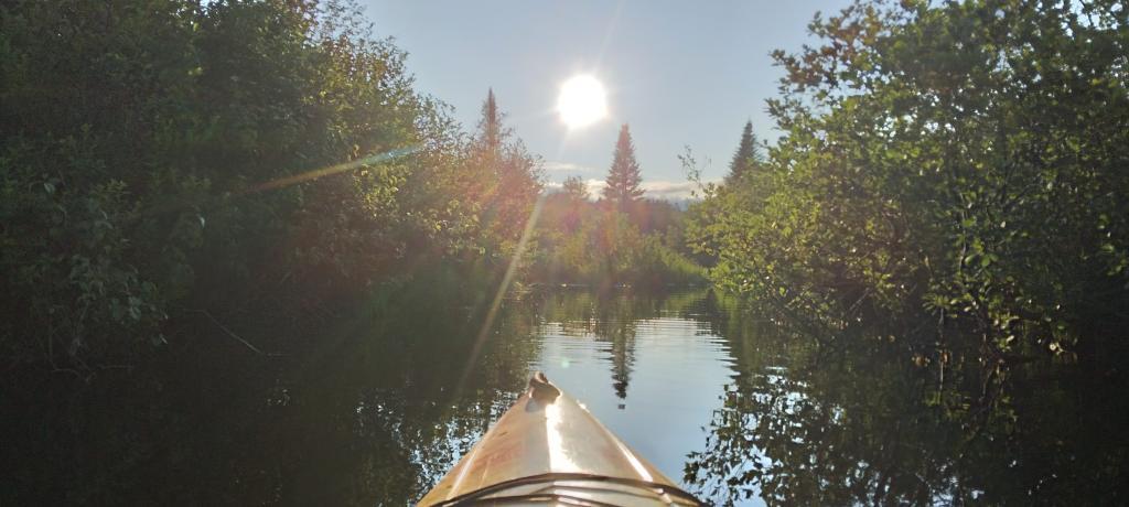 Photo: Evening on East Canada Creek