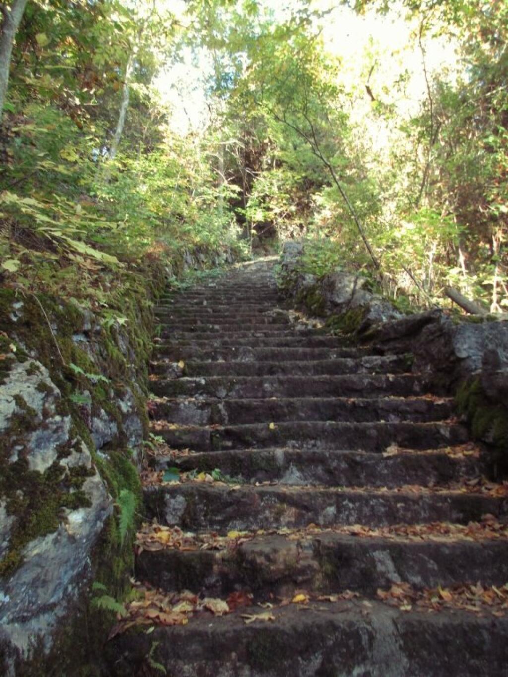 Photo: Stairs Photo: Stairs