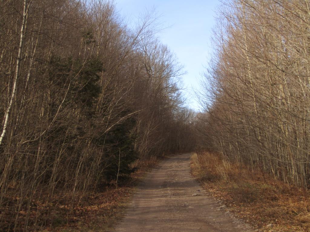 Photo: Walkerville Road