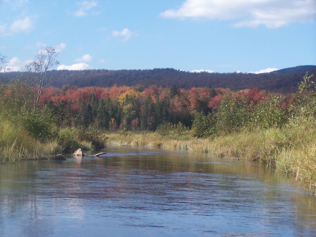 Photo: River Picks Up Speed As You End the Flow Photo: River Picks Up Speed As You End the Flow