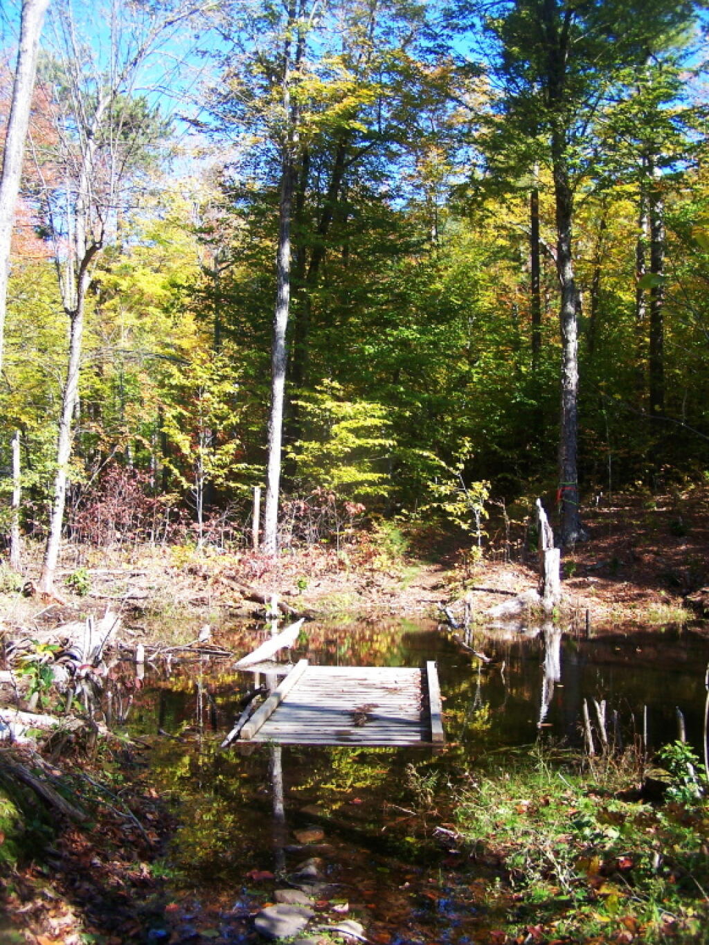 Photo: The Beaver Dun It Photo: The Beaver Dun It