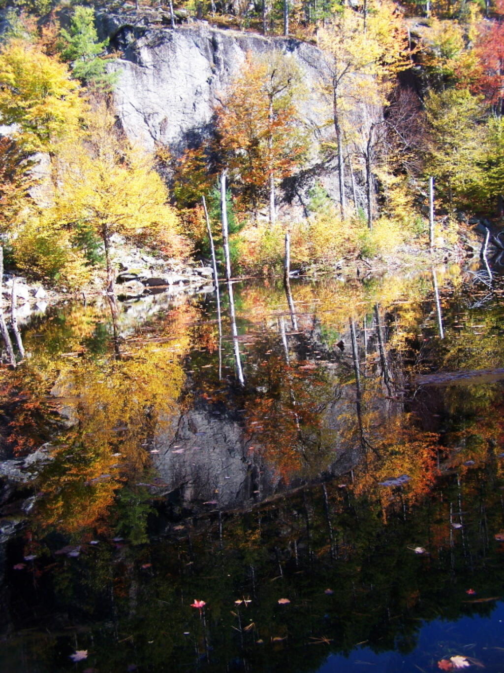 Photo: Blackwater Reflection