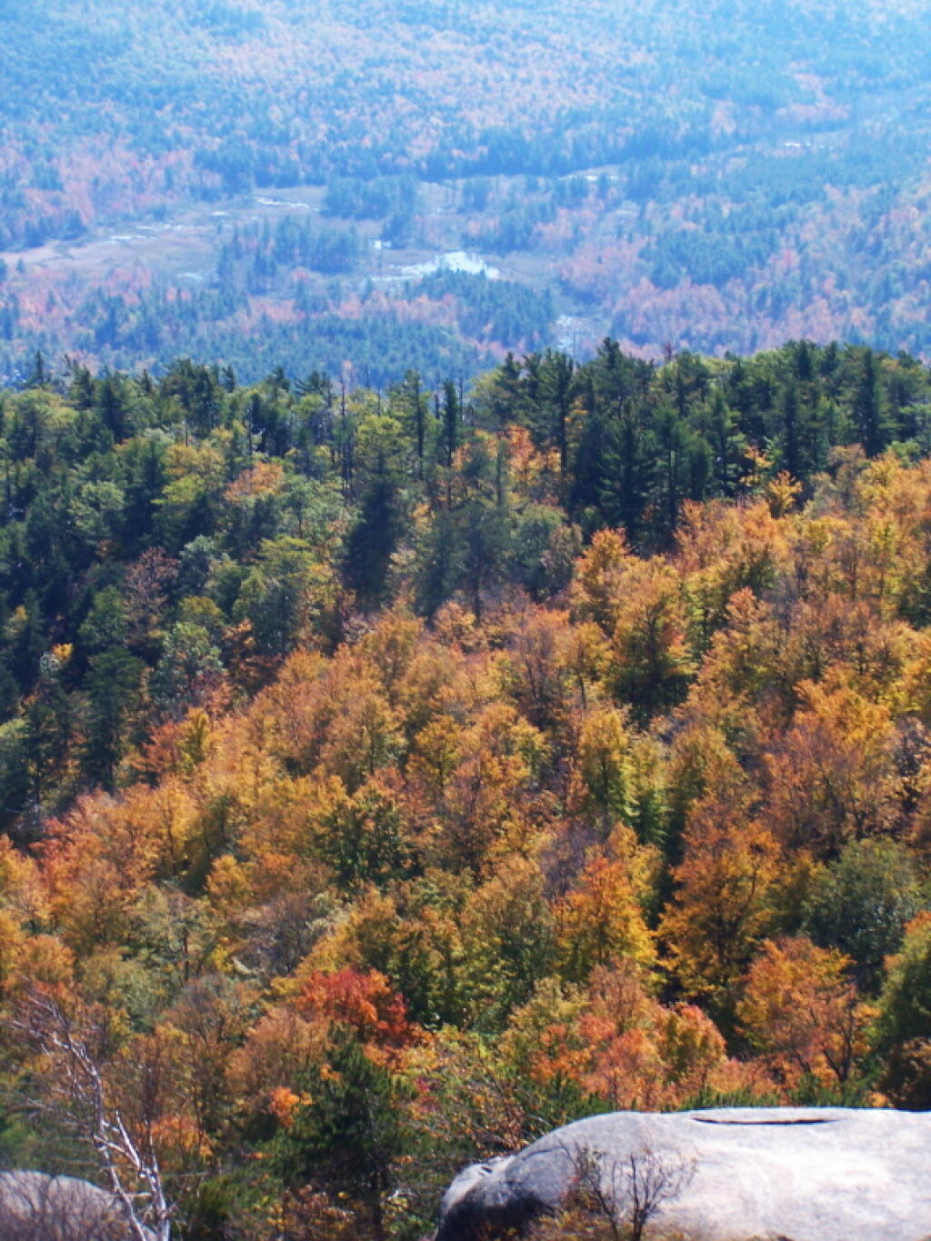 Photo: Swamp Along the Adirondack Northway Photo: Swamp Along the Adirondack Northway