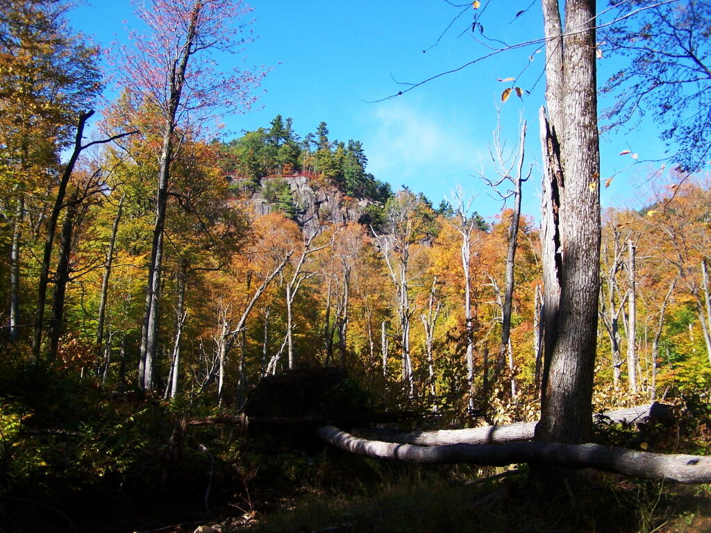 Photo: Ledge Above the Trai