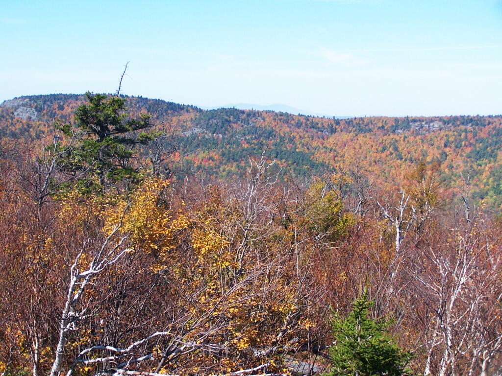 Photo: Carl Mountain Colors