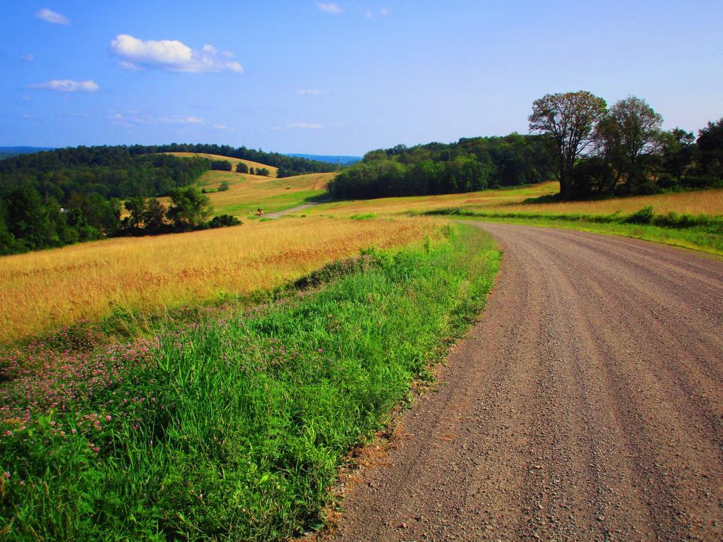 Photo: Farm Fields Along Carlie Road and Finger Lakes Trail Photo: Farm Fields Along Carlie Road and Finger Lakes Trail