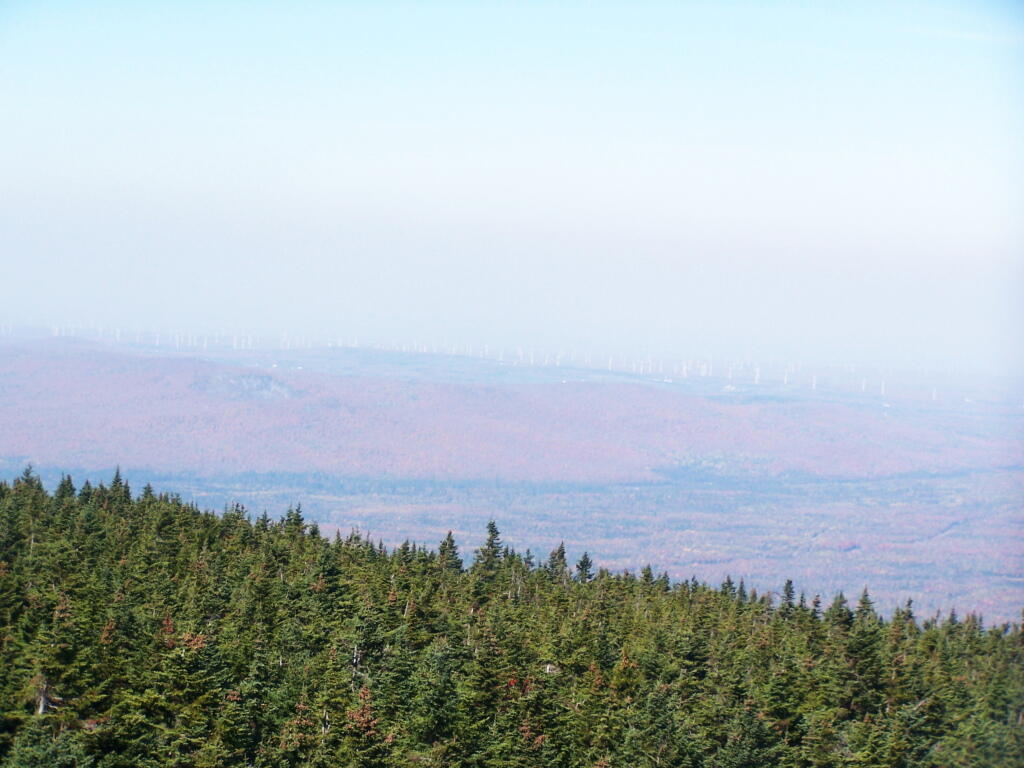 Photo: North from Firetower Photo: North from Firetower