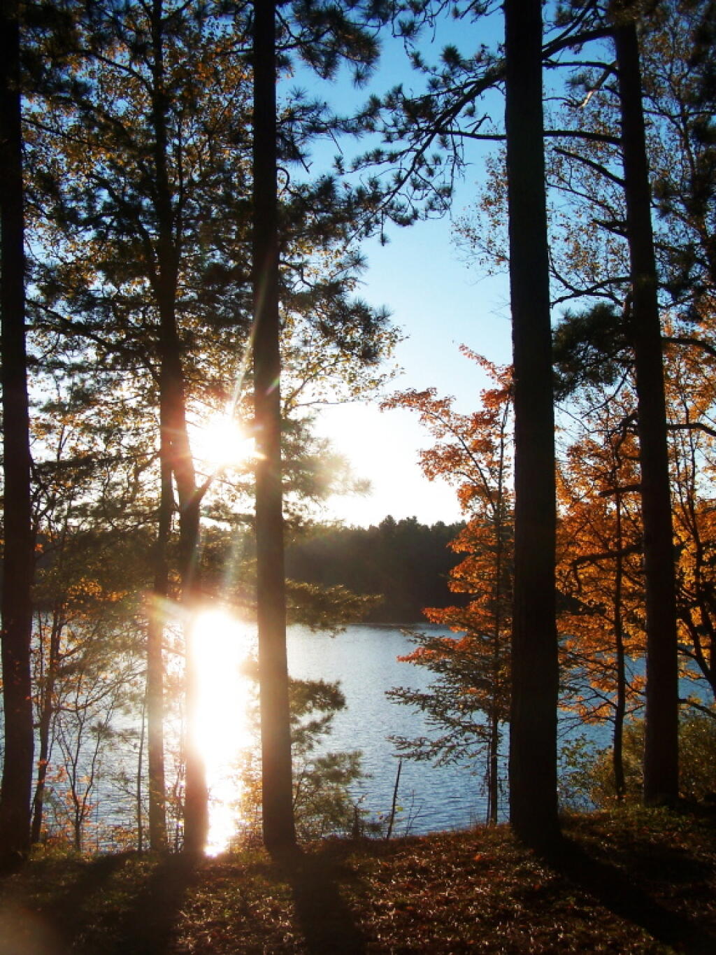 Photo: Four O'Clock But Sun Already Setting