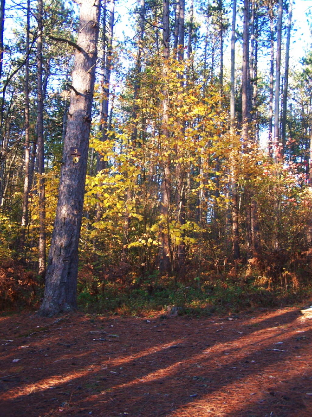 Photo: Fall Colors Photo: Fall Colors