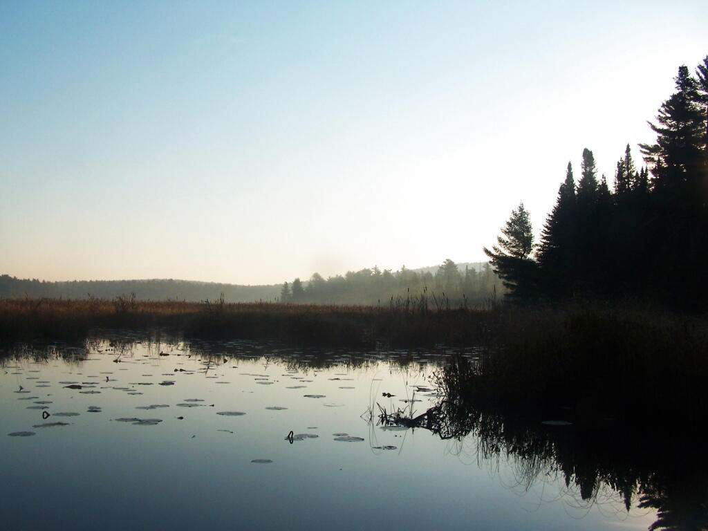 Photo: Jones Pond Looking East