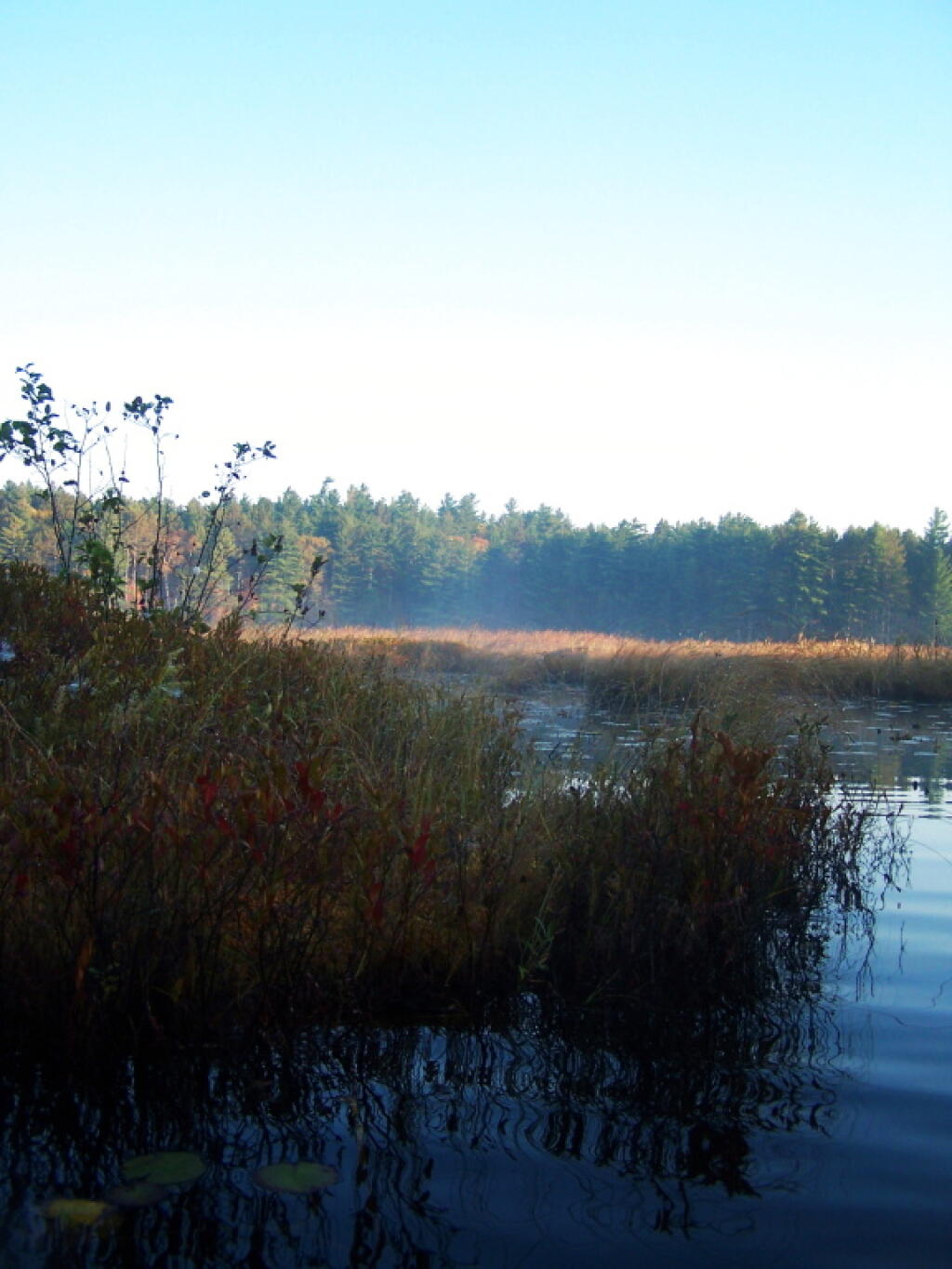 Photo: Wandering around Jones Pond Photo: Wandering around Jones Pond