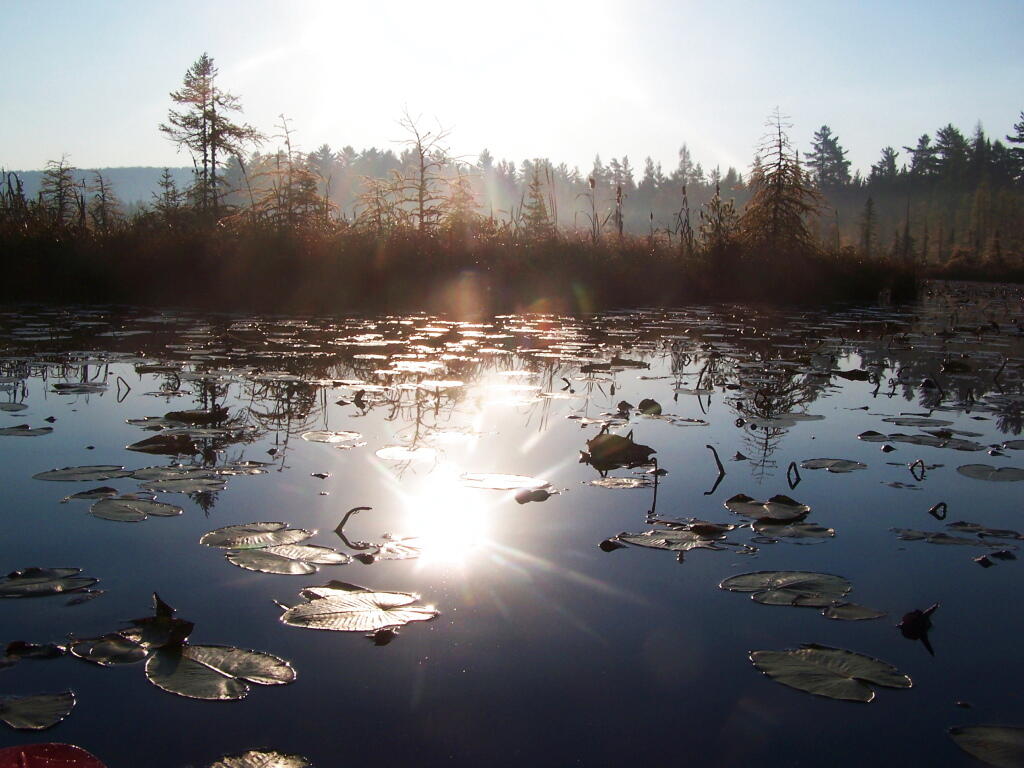 Photo: Sun Flare