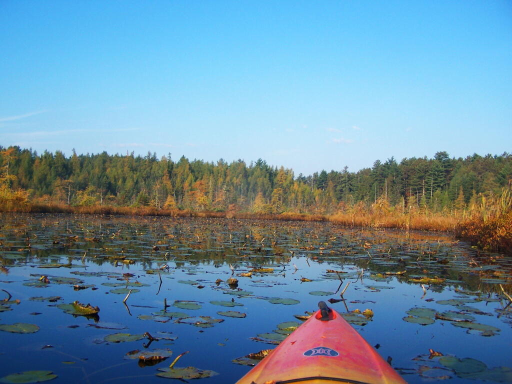Photo: Splatterdock Photo: Splatterdock
