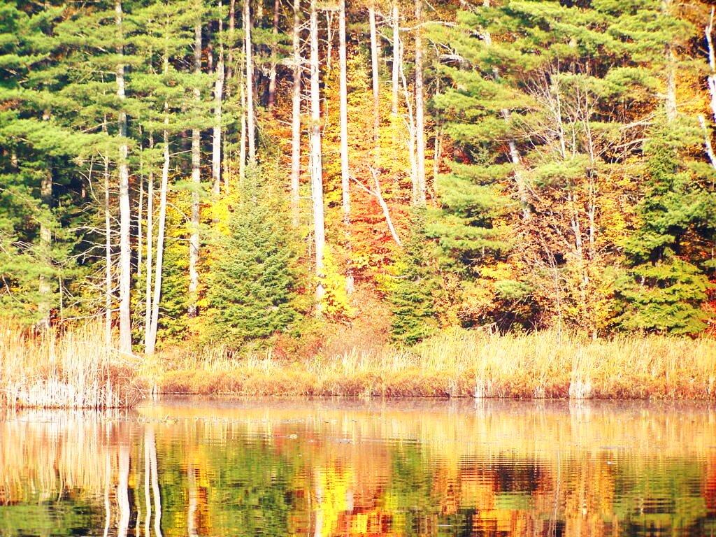 Photo: Colorful Reflections Photo: Colorful Reflections