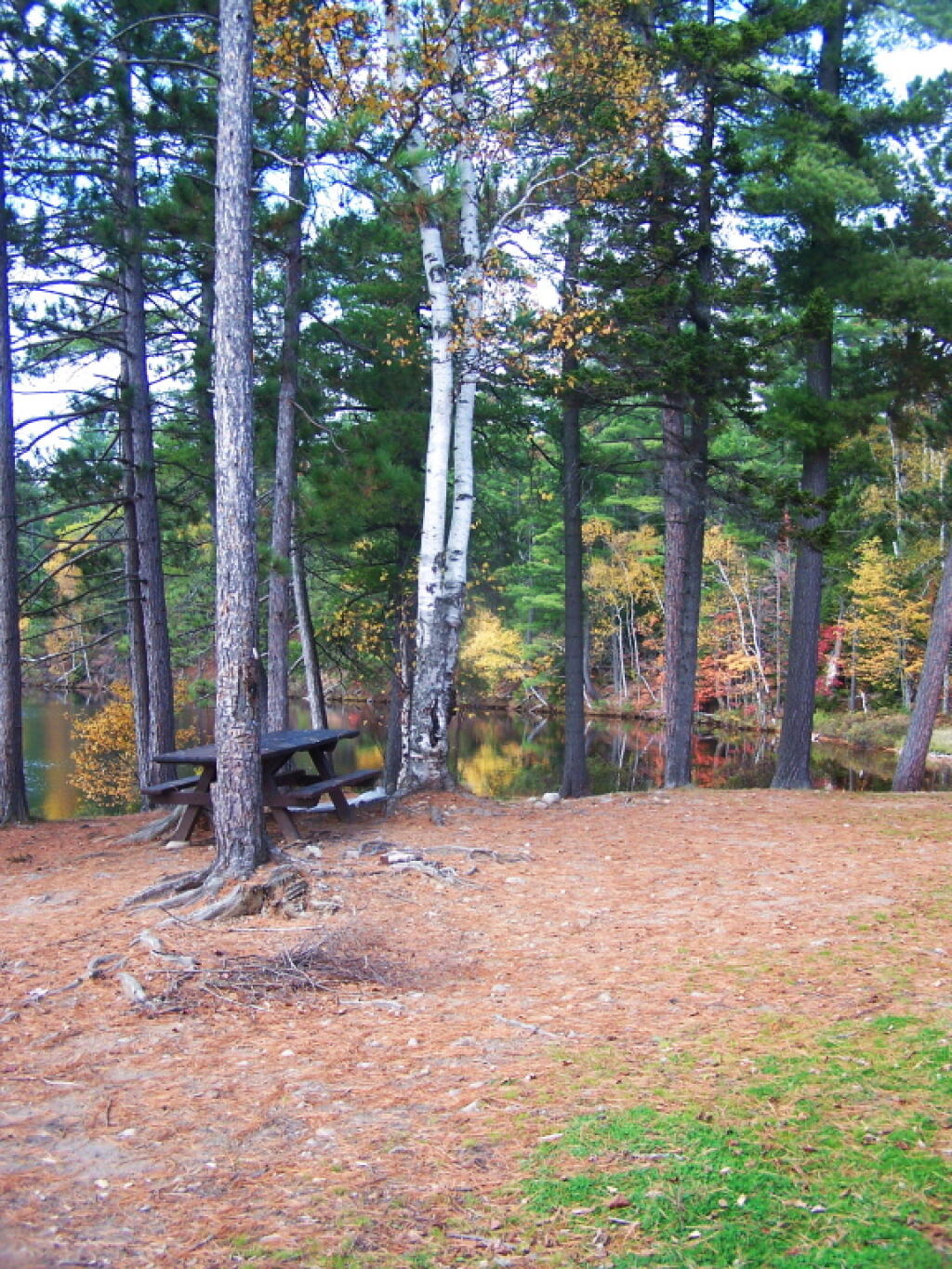 Photo: Another View of Campsite 2