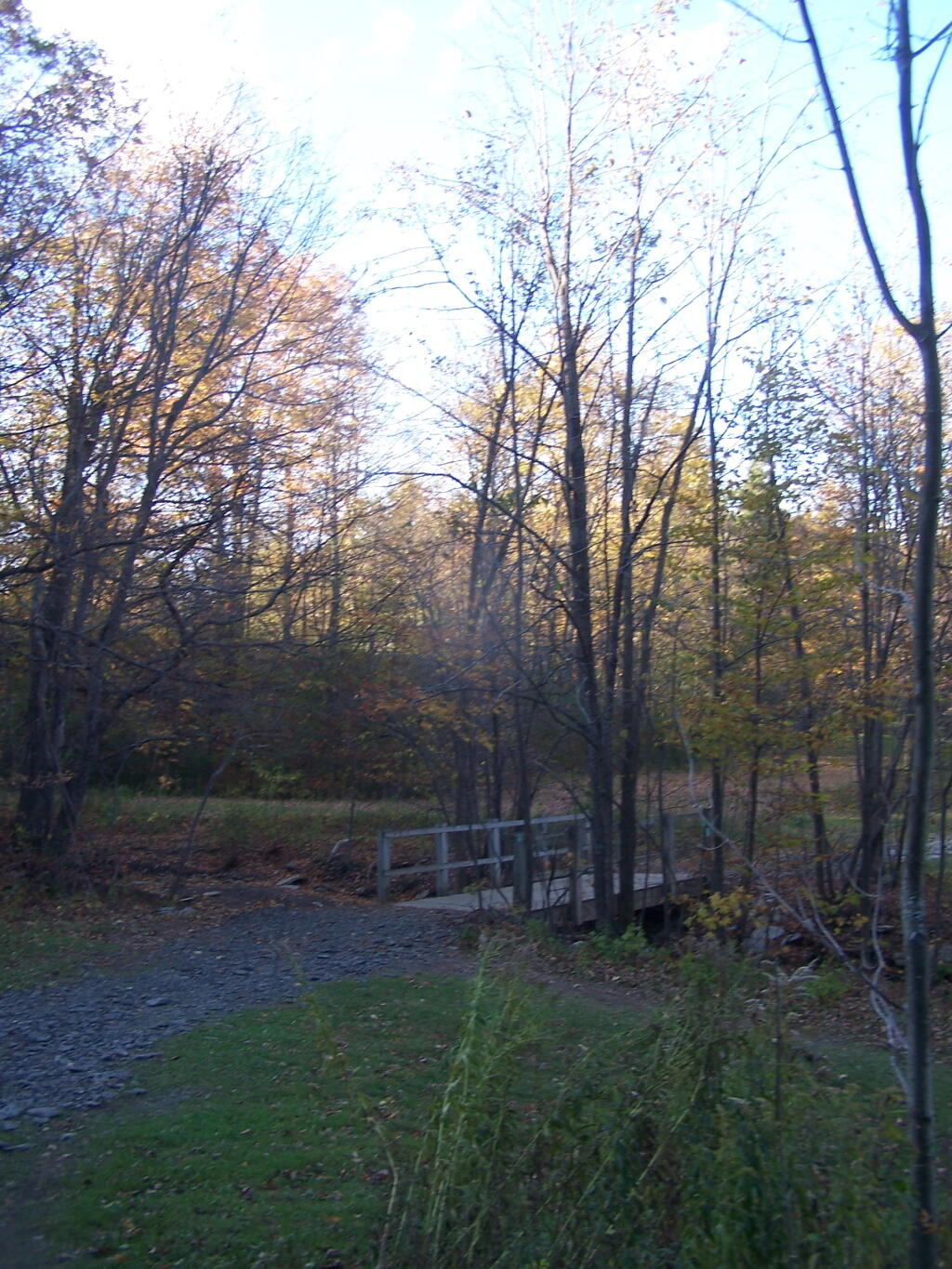Photo: Replaced Paint Mine Creek Bridge