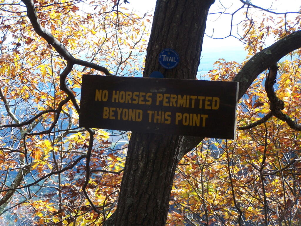 Photo: No Horses on Escarpment Trail Photo: No Horses on Escarpment Trail