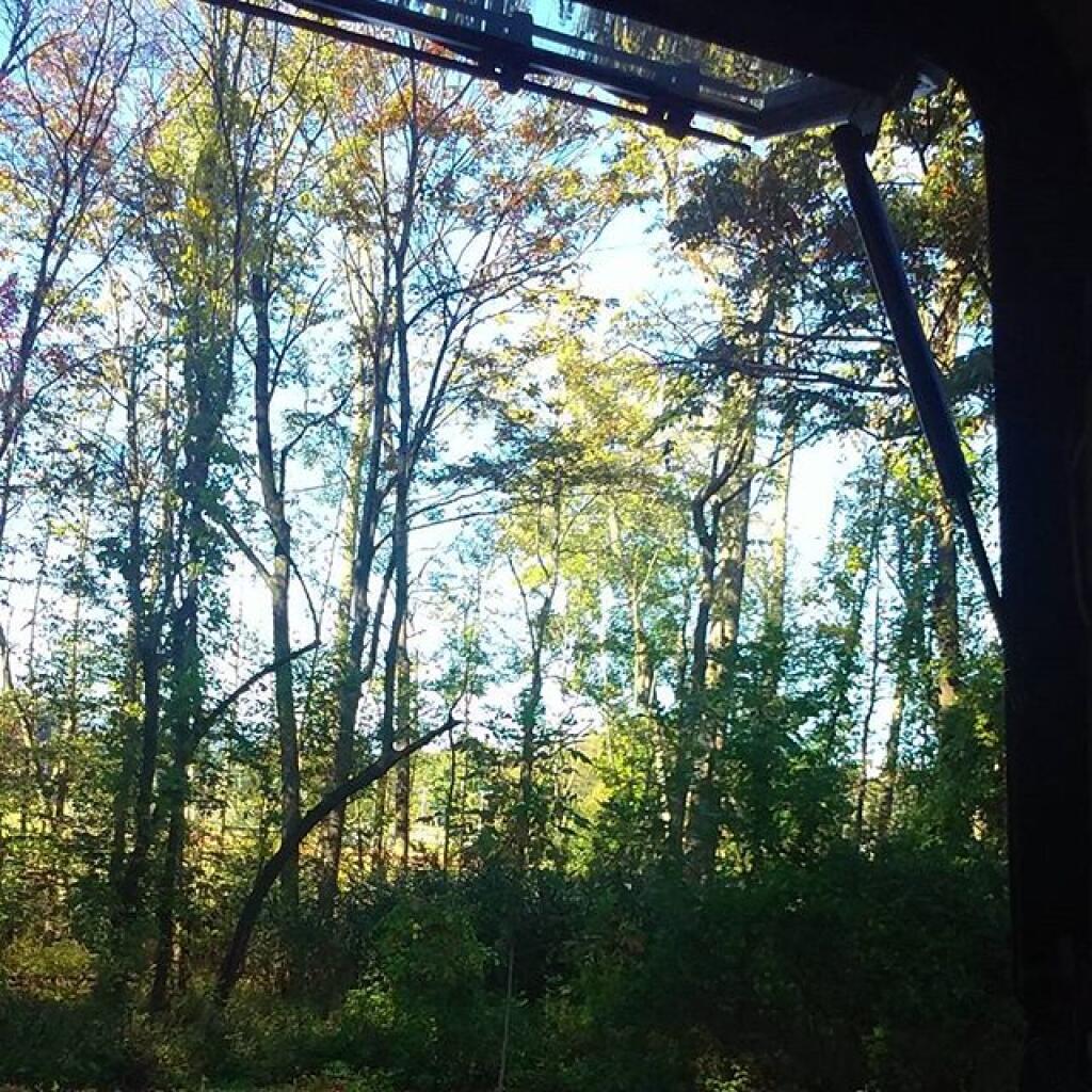 Photo: Nice autumn day Photo: Nice autumn day