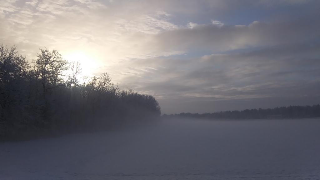 Photo: Beautiful January morning for my walk Photo: Beautiful January morning for my walk