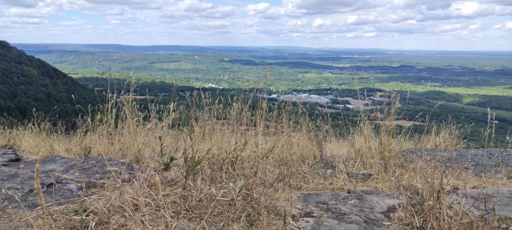 Photo: Dry Grass at Hang Gliders Cliff