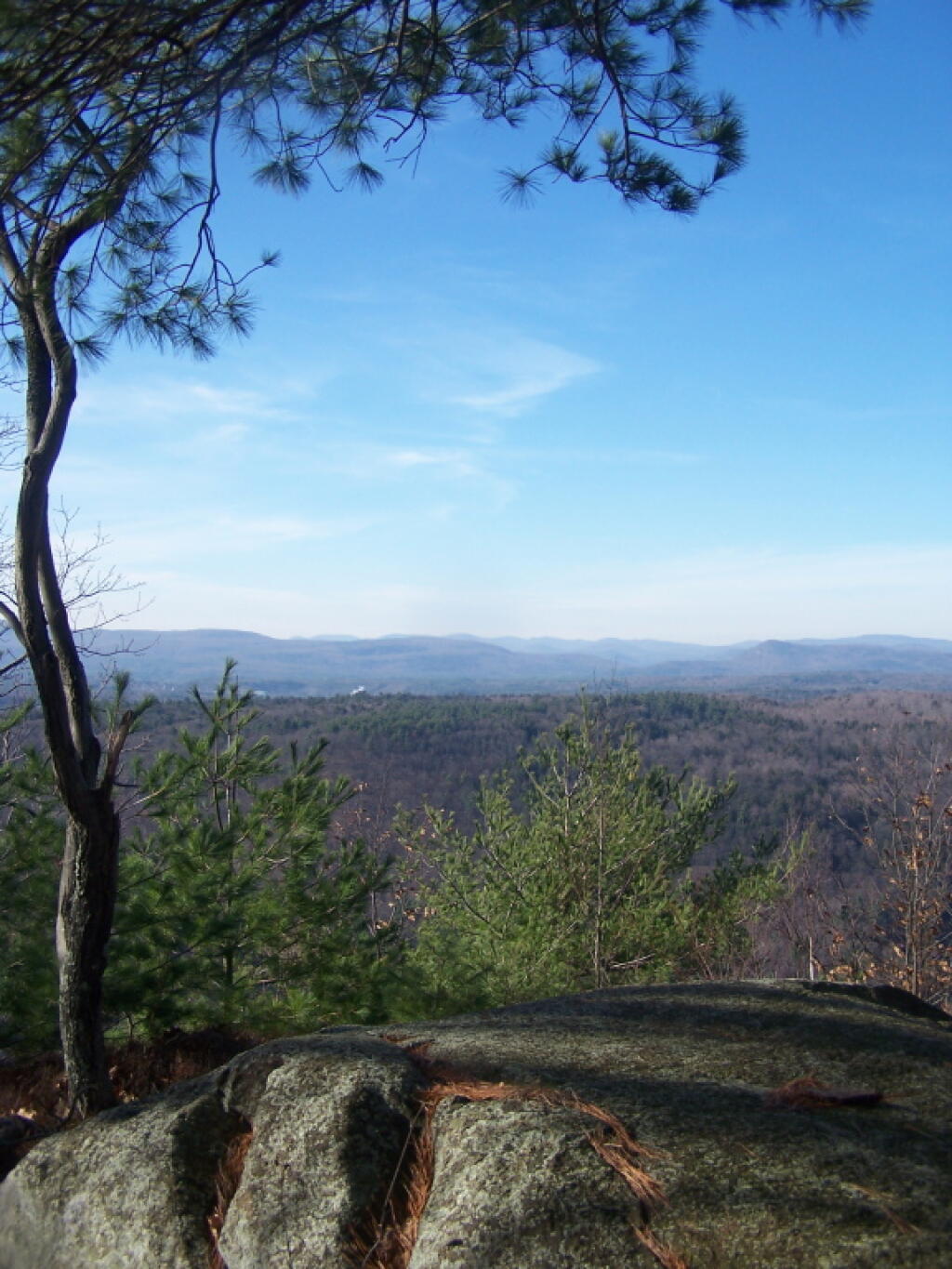 Photo: Tree Along Ridge Photo: Tree Along Ridge